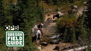 Wallowa Mountains mule packer [upl. by Denn291]