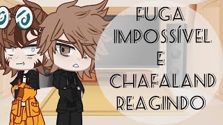 Fuga Impossível e Chafaland reagindo ao Futuro part 1 🇧🇷🇪🇦 [upl. by Lizned]