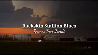 quotBuckskin Stallion Bluesquot  Townes Van Zandt TraduçãoLyrics [upl. by Okeim]