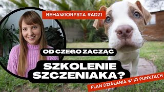 SZKOLENIE SZCZENIAKA  od czego zacząć Plan działania w 10 punktach [upl. by Eicyal6]