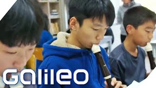 Waldorfschule International Wie das Konzept in Südkorea ankommt  Galileo  ProSieben [upl. by Audsley]