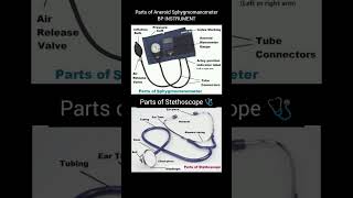 Sphygmomanometer and Stethoscope 🩺  BP INSTRUMENT Parts of Sphygmomanometerparts of Stethoscope [upl. by Sirromaj]