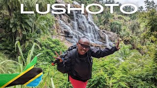 My First Impressions Of Lushoto Tanzania 2024 🇹🇿 [upl. by Guglielmo746]