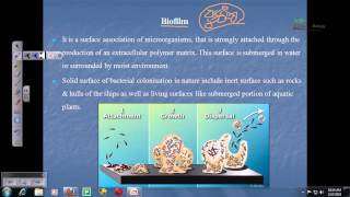 Biofilm and microbial mats [upl. by Ahsienel]