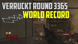 CoD Zombies Verruckt Round 3365 World Record [upl. by Irah]