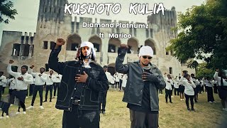 Diamond Platnumz  ft  Marioo  KUSHOTO KULIA  official Music Video 2024 [upl. by Epuladaugairam366]