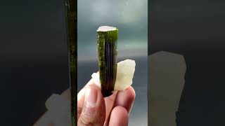 🌴Tourmaline Crystal With Albite 🌴 crystals quartz jewelry tourmaline minerals [upl. by Enogitna]