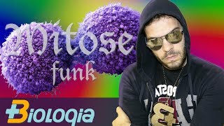 Funk da Mitose  Mais Biologia com Roger Maia [upl. by Pardew]