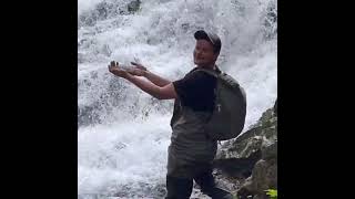 Sawmill creek freshwater steelhead fishing Sitka Alaska  Baranof Island [upl. by Ecurb914]