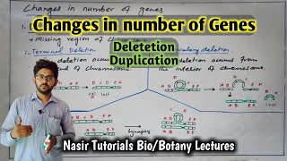 Deletion  DuplicationChromosomal Structural Changes  Mutations 34  Genetics Lecture for BS [upl. by Valdes]