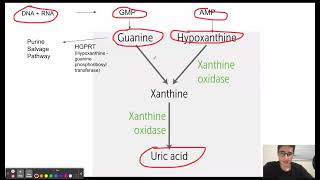 Lesch Nyhan Syndrome Mnemonic [upl. by Sedgewake857]