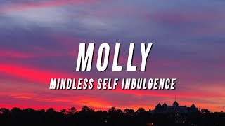 Mindless Self Indulgence  Molly TikTok Remix Lyrics [upl. by Crabb]