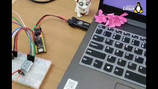 Interfacing 7Segment display with STM32F4 BlackPill  bare metal programming   Ubuntu [upl. by Nyrat133]