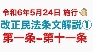 改正民法条文解説 初学者中級者 第1条から第11条 [upl. by Odrarej587]