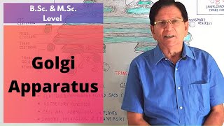 Golgi Apparatus  BSc amp MSc Level Biology [upl. by Aivat]