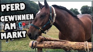 Pferd gewinnen am Pferdemarkt ✮ [upl. by Neivad]