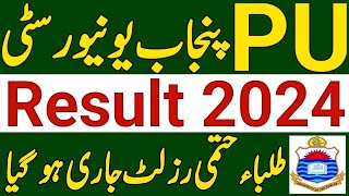 Punjab University Ba BSC BS Result 2024PU ADA ADS ADP 1st Annual Exam Result 2024PU Result 2024 [upl. by Mckale]