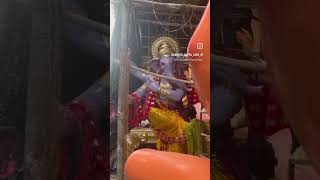 Forjett street cha raja 2024 [upl. by Yekcin]