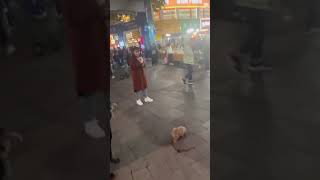 Qingdao China evening market street [upl. by Eiclud]