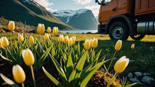 Happy Spring in Norway [upl. by Llib]