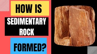 How Are Sedimentary Rocks Formed Weathering Erosion Deposition Compaction Cementation [upl. by Athena]