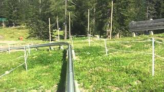 Sommerrodelbahn Nassfeld  Hermagor System Brandauer [upl. by Aynos]