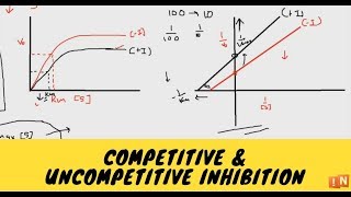 Competitive and Uncompetitive Inhibition  Reversible Inhibition Part 1 [upl. by Ailhad314]