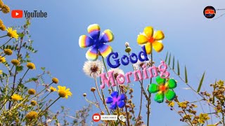 good morning apps good morning status good morning Malayalam status  Malayalam good night status [upl. by Marieann]