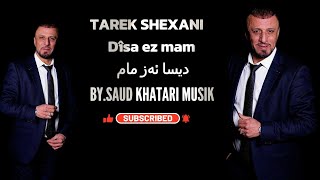 TAREK SHEXANI Dîsa ez mam 2024 دیسا ئەز مام [upl. by Eillah588]