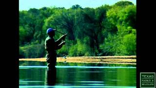 Running of the Bass White Bass Fishing in Texas [upl. by Annoved715]