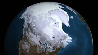 Pleistocene Time Period Video [upl. by Nnyloj]