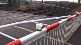 Level crossings on the ECML [upl. by Nomyt984]