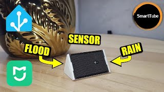 Two In One Flood Rain Sensor By Linptech on BLE Water Leak linptech waterleak rainsensor xiaomi [upl. by Nador]