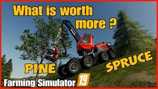 fs19 tree Harvesting Whats worth more Spruce or Pine trees test [upl. by Andra]