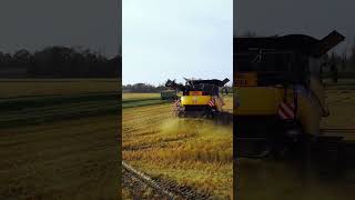 Riz de Camargue 2024 🌾 camargue drone riz rice farming25 harvest moisson [upl. by Bess]