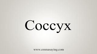 How To Say Coccyx [upl. by Paynter640]