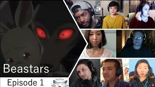 Beastars Episode 1 Reaction Mashup [upl. by Aridaj]