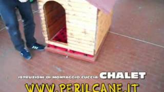 Cucce in legno da esterno modello Chalet Istruzioni PERILCANEIT [upl. by Ondrea]