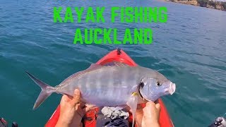 Kayak Fishing Army Bay Whangaparaoa  Snapper Trevally amp Kahawai [upl. by Enois]