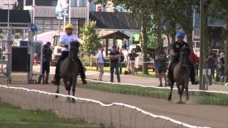 Guðmundur Einarsson P1 World record WC Icelandic Horses IslandpferdeWM VM Islandshästar 2015 [upl. by Anyar]