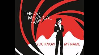 07 You Know My Name  Amadesu  v the Musical V [upl. by Fairfax785]