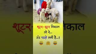 जोक्स funny comedy funny jokes funnyjokas comedyjokes funnycomedy jokse [upl. by Klepac]