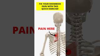 Fix Your Rhomboid Pain With This Quick Exercise [upl. by Aubyn346]