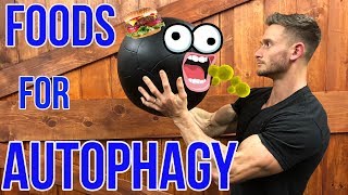 How to Boost Autophagy without Fasting  What is Autophagy  Foods for Autophagy  Thomas DeLauer [upl. by Renferd]