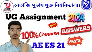 NSOU UG ASSIGNMENT 2024 Answer AE ES 21 PAPER [upl. by Kinom]