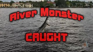 River Monster Caught Mullet LadyFish Run St Johns River [upl. by Ydualc]