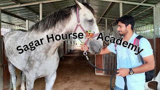 Sagar Equestrian Sport Academy 🏇🎠 kalwar road  jaipur  Regional competition center  training [upl. by Krueger222]