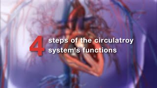 Visible Body  Learn Pulmonary amp Systemic Circulation [upl. by Enerod]