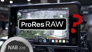 ProRes RAW Explained – Plus Footage [upl. by Rodoeht242]