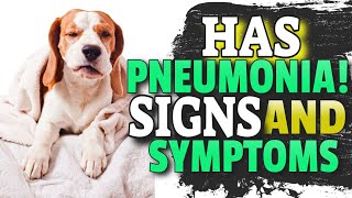 🐶PNEUMONIA IN DOGS  Signs Symptoms and What to Do [upl. by Lindberg]